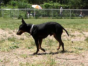 CIMG0681s.jpg