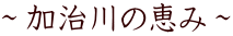 �`������̌b�݁`