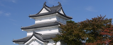 P1020338.JPG