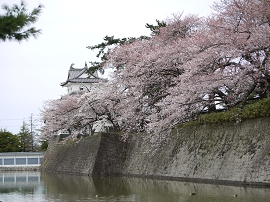 P1010801.JPG