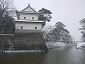 P1020558.JPG