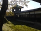 P1020390.JPG
