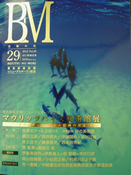 BM@Vol29