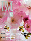 BM@Vol30
